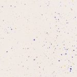 arco-porcelain-60.120-coarse-cream-f3