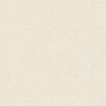 arco-porcelain-60.120-fine-cream-f2